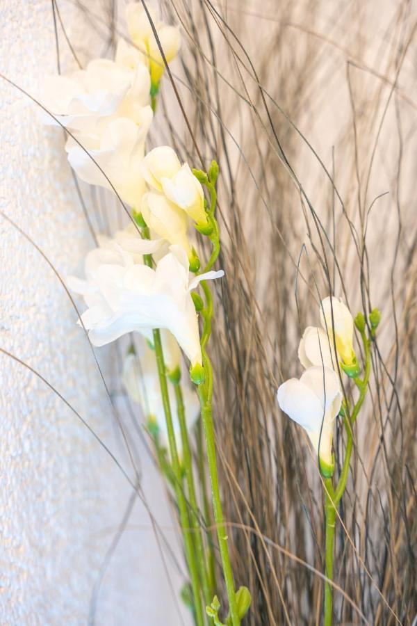 #2 Grosses Zimmer Mit Pool Und Garten Memmingen Exterior foto